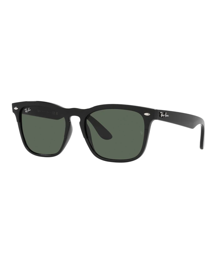 

Steve rb4487 солнцезащитные очки темные Ray-Ban, черный