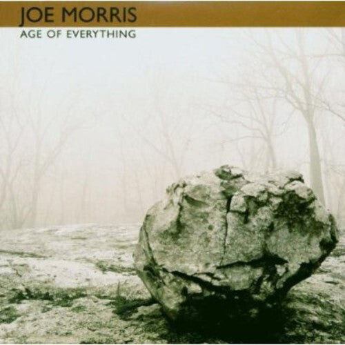 

CD диск Morris, Joe: Age of Everything