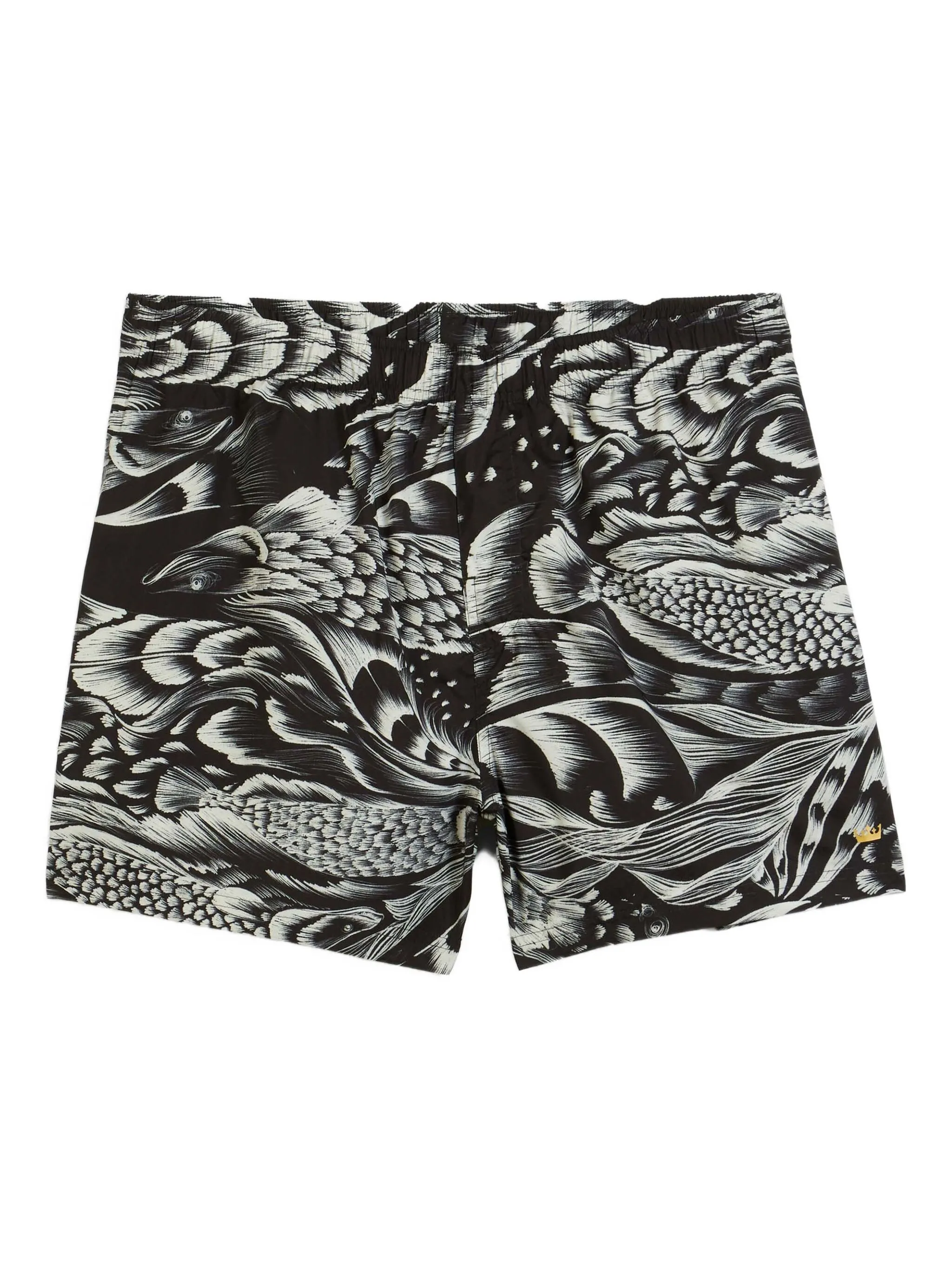 

Плавки-шорты с принтом Pirarucu Osklen, черный