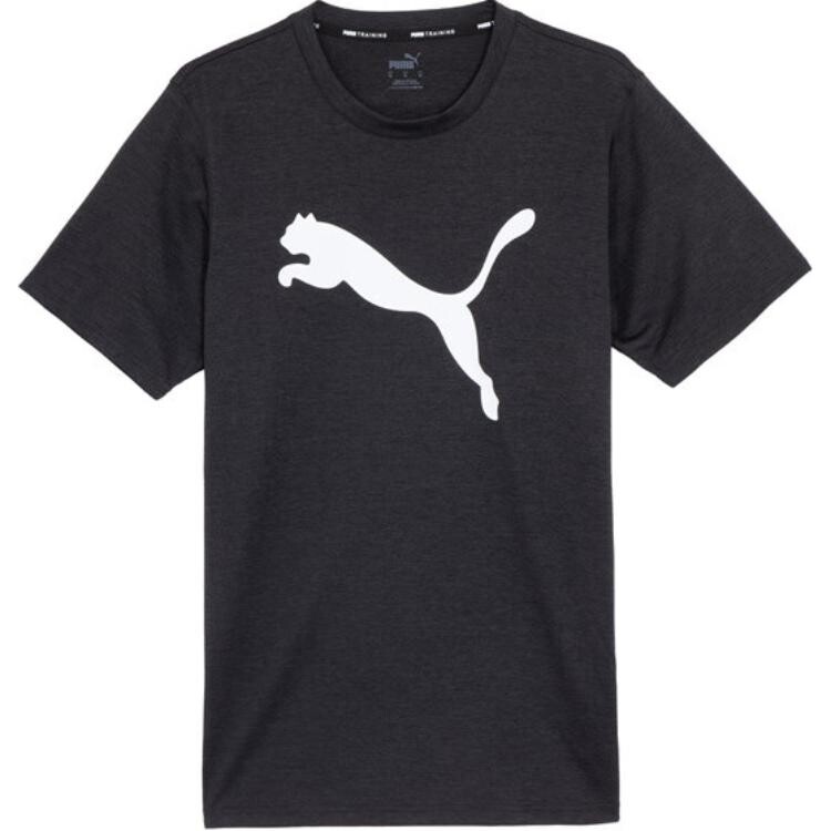 

Мужская футболка Puma, цвет Black