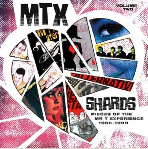 

Виниловая пластинка Mr T Experience: Shards Vol. 2
