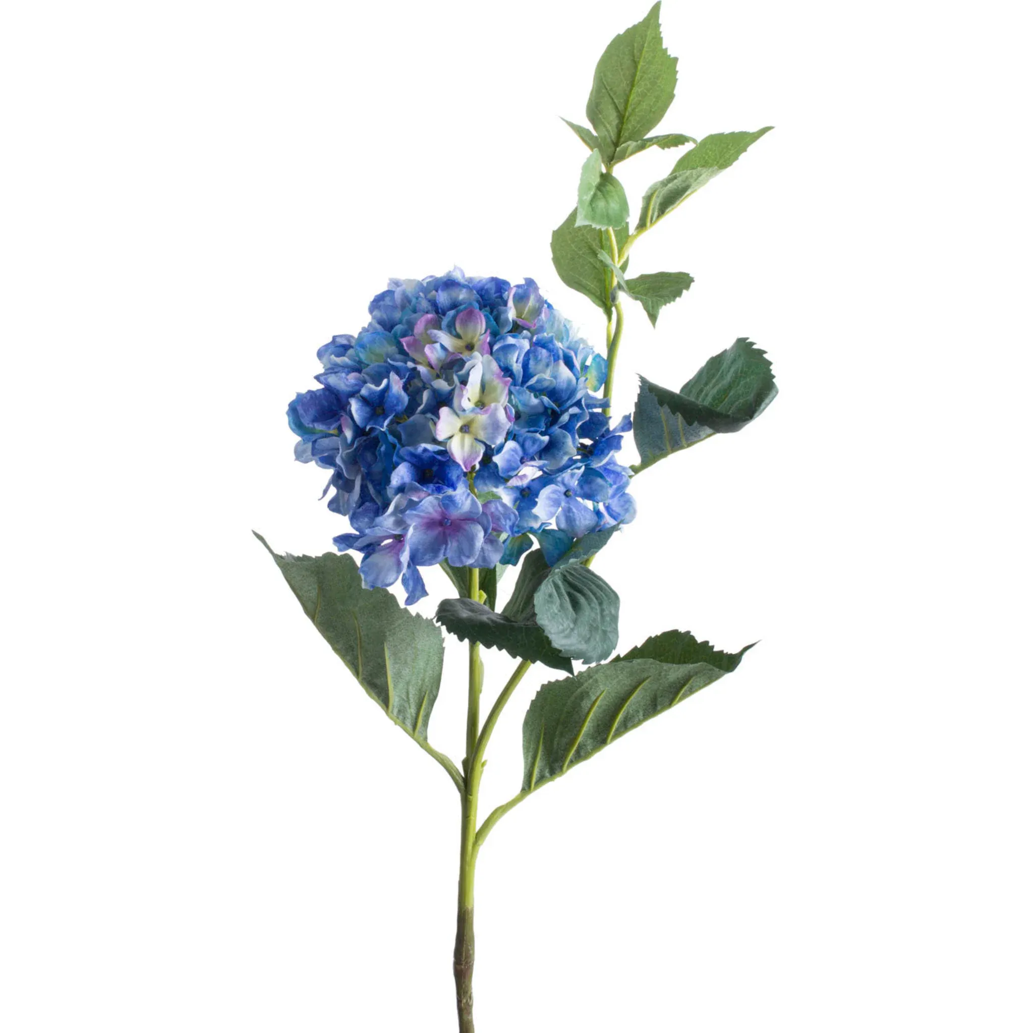 

Botanic-Haus искусственный цветок «Гортензия», цвет hellblau-blau