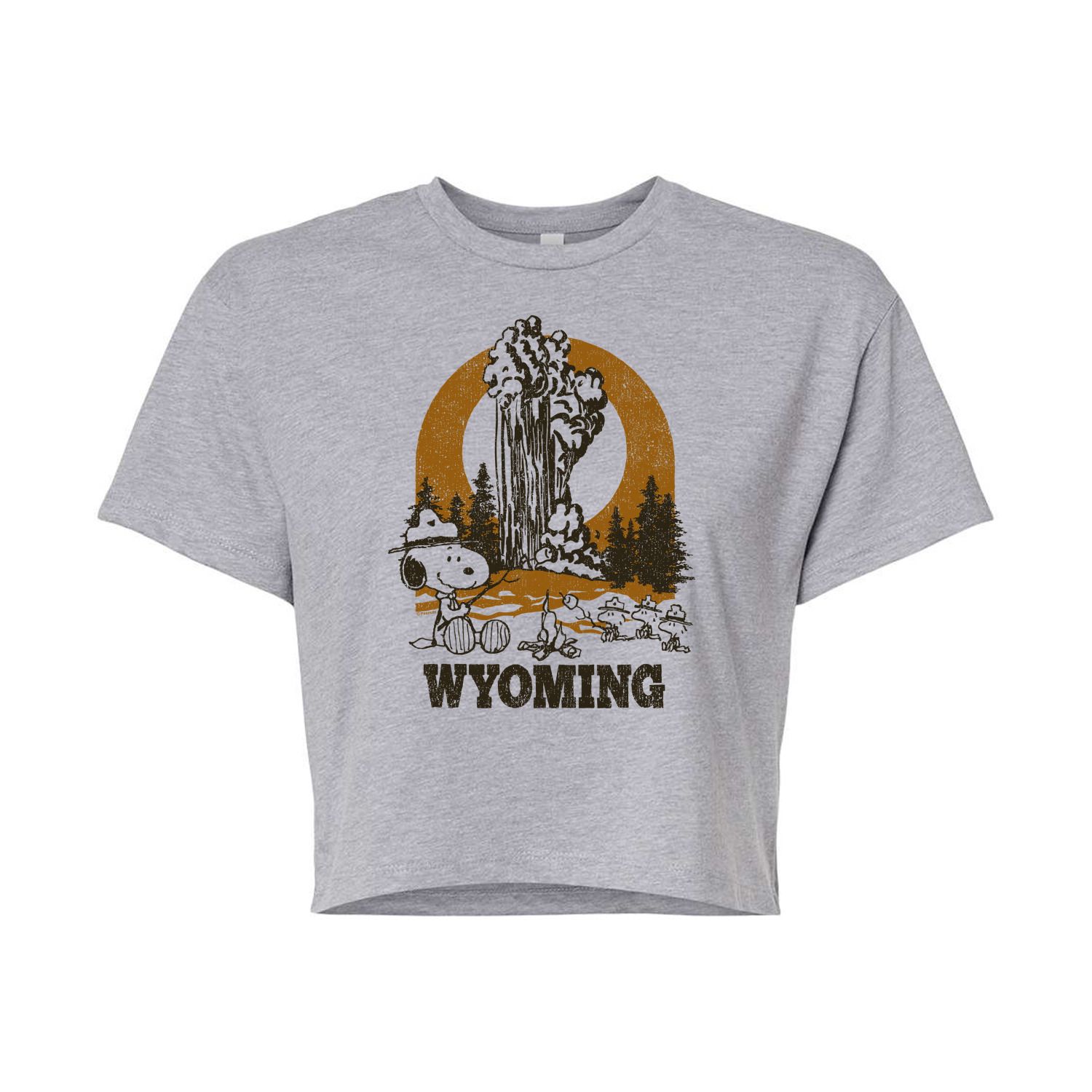 

Укороченная футболка с рисунком Old Faithful для детей Peanuts "Wyoming" Licensed Character, серый