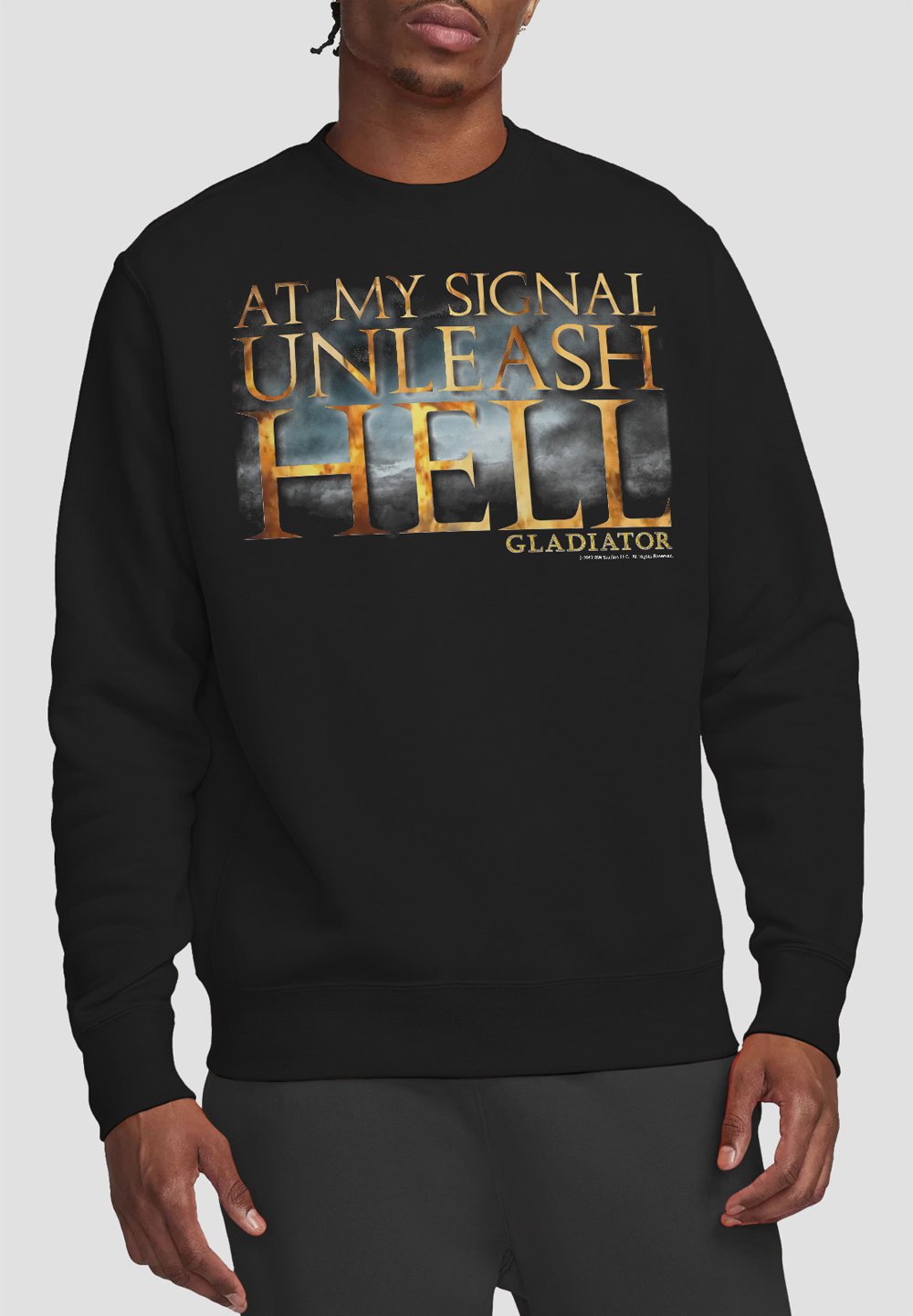

Толстовка GLADIATOR UNLEASH HELL Cotton Soul, черный