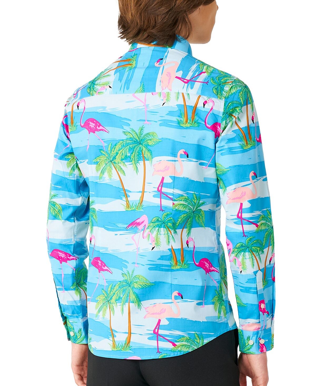 Рубашка с тропическим фламинго Big Boys Flamingguy OppoSuits — фото 2