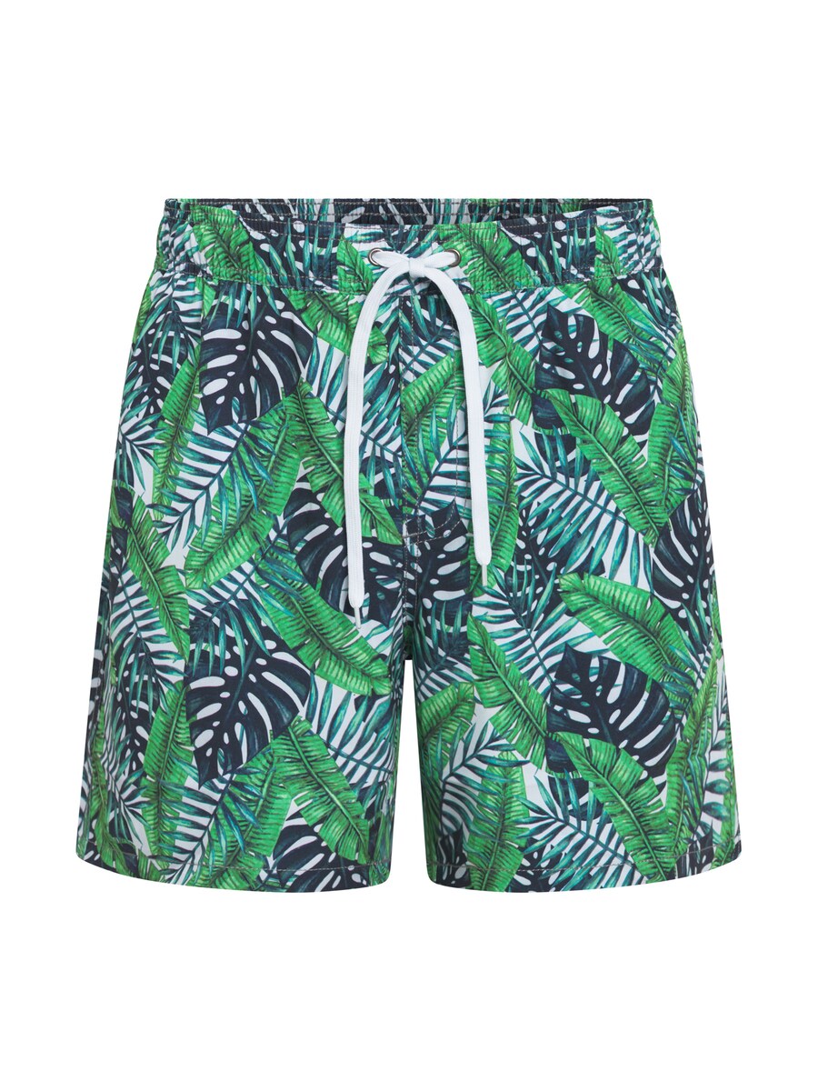 

Шорты для плавания TOOche Board Shorts Lugano, цвет green/light green/dark green