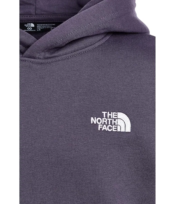 Худи The North Face Kids Evolution Simple Dome, Endless Dusk — фото 3
