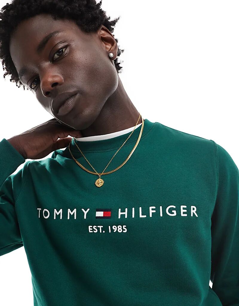 

Толстовка Tommy Hilfiger Regular Fit в цвете «зелёный-синий»