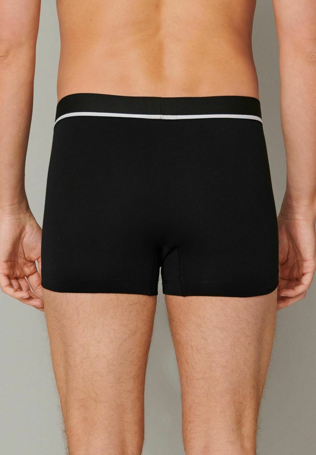 

Брюки 6 PACK Schiesser, черный