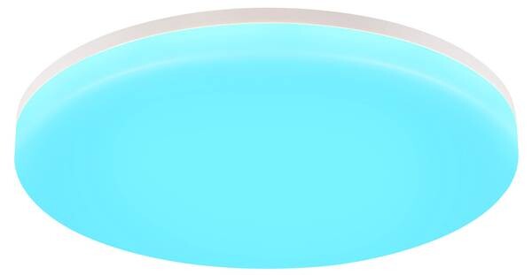 

Светодиодный потолочный светильник Nettlife Diana, белый