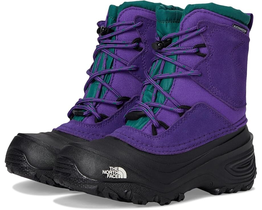 

Ботинки The North Face Kids Alpenglow V Waterproof, цвет Peak Purple/Evergreen