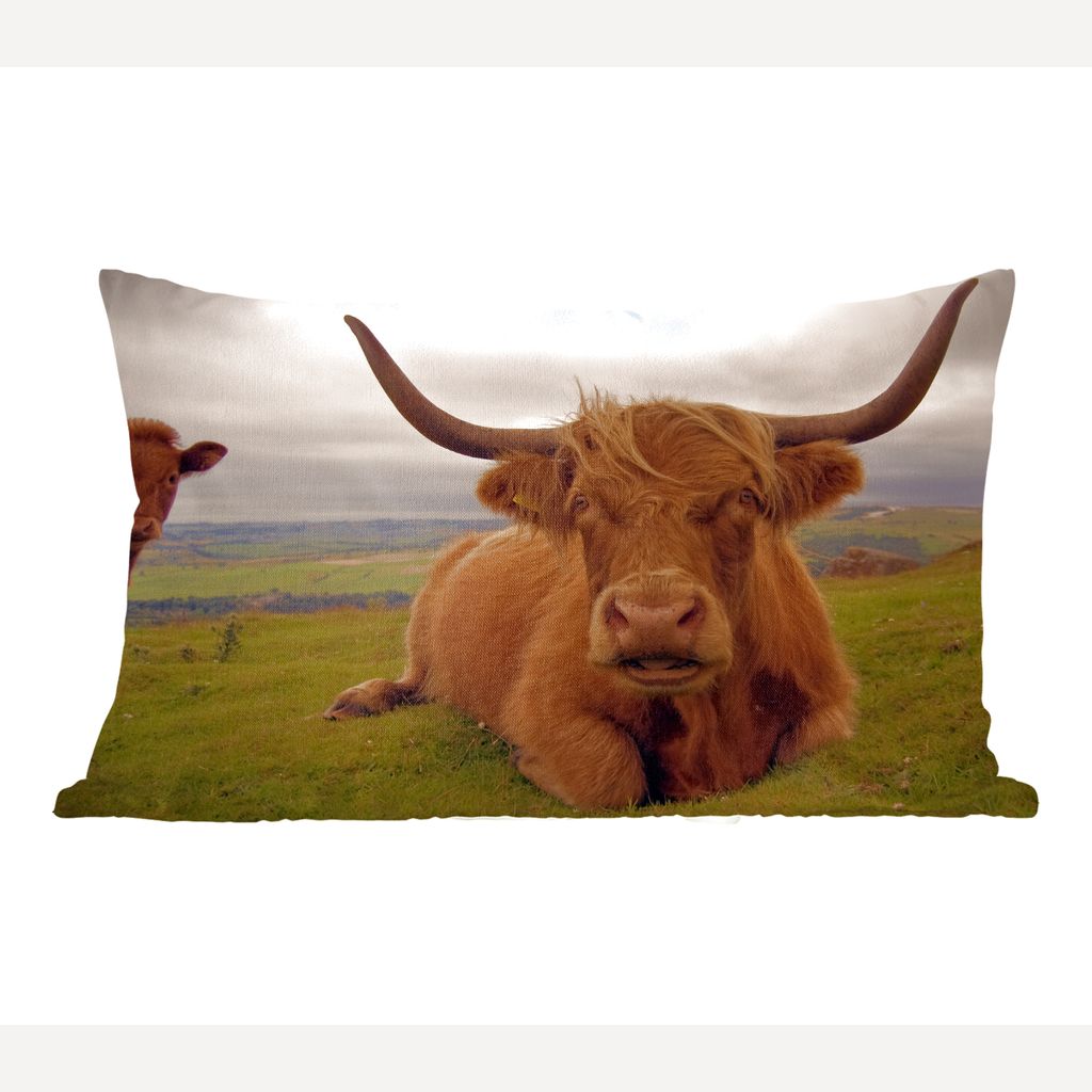 

MuchoWow Scottish Highlanders - Шотландский горец с мальчиками - 50x30 см - чехлы на диванные подушки - без наполнителя