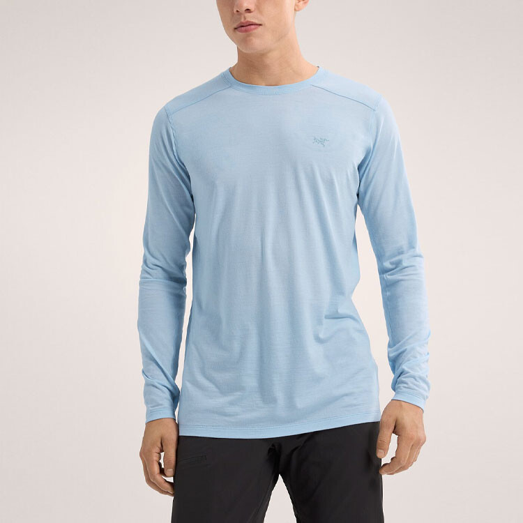 Футболка из серии Ionia Merino Wool для мужчин Arcteryx, коричневый — фото 2