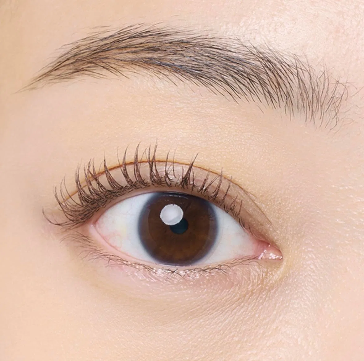 Тональная маскара d i d ION Tonal Color Mascara, оттенок F05 Mellow Morrow, 1 шт. — фото 3