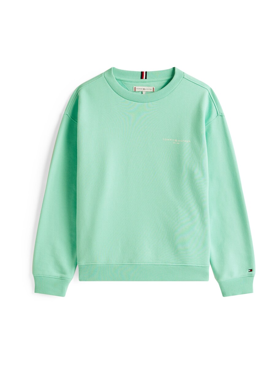 

Толстовка TOMMY HILFIGER, светло-зеленый