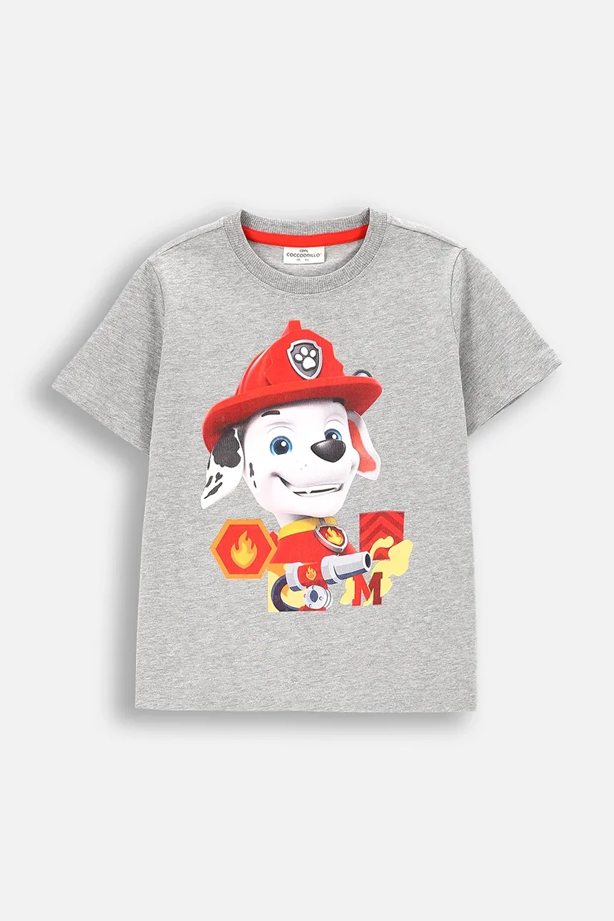 

Детская футболка Coccodrillo, серый