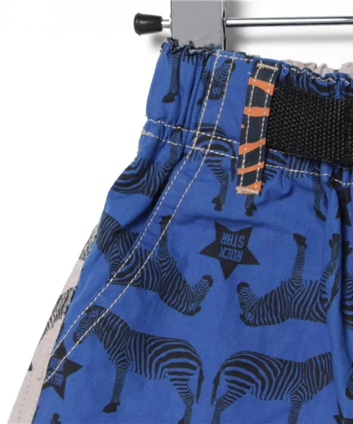 Детские шорты с принтом Zebra RUGGEDWORKS голубые — фото 4