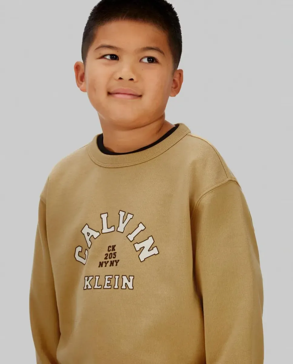 Толстовка для мальчика в стиле varsity Calvin Klein, коричневый — фото 4