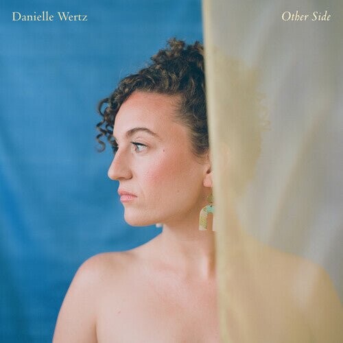 

Виниловая пластинка Wertz, Danielle - Other Side