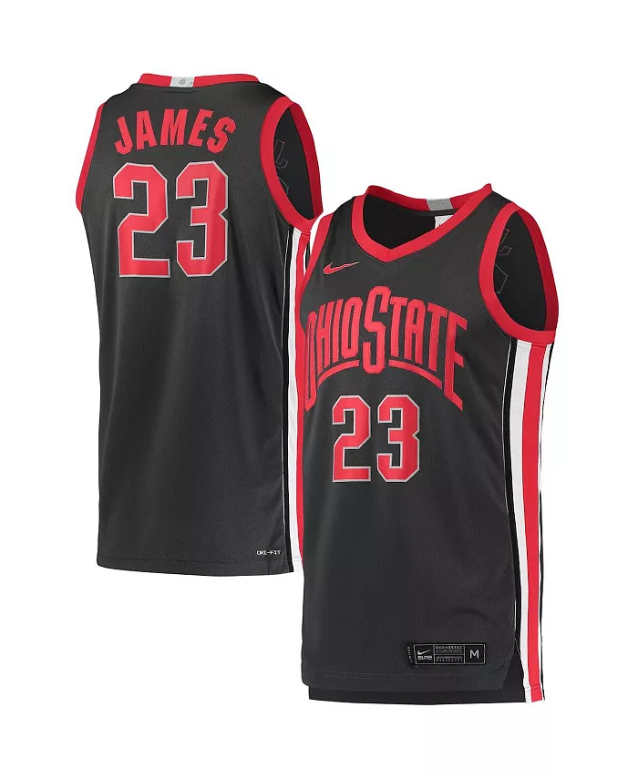 

Мужская баскетбольная майка LeBron James Ohio State Buckeyes Alumni Player Limited Nike, серый