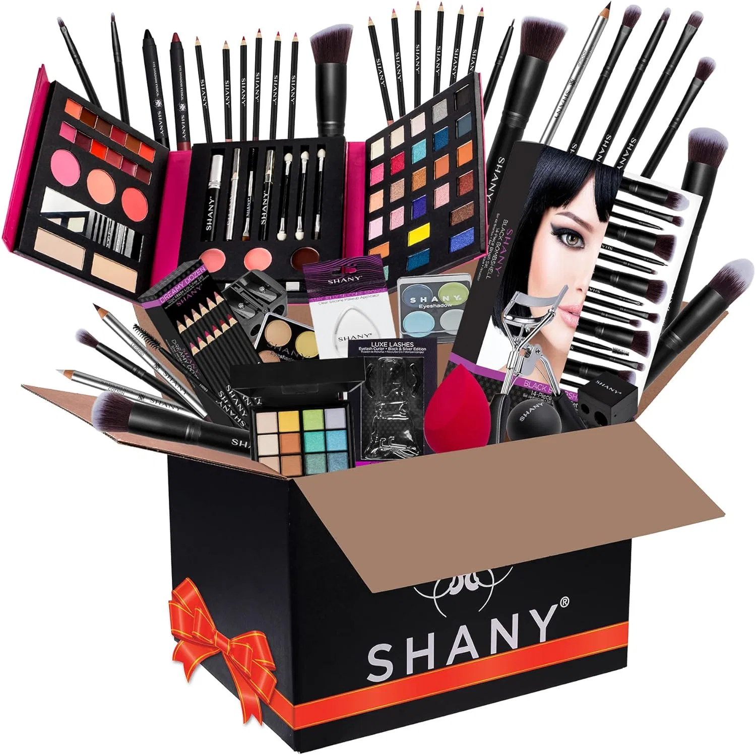 Набор косметики SHANY All in One Makeup Bundle, мультиколор