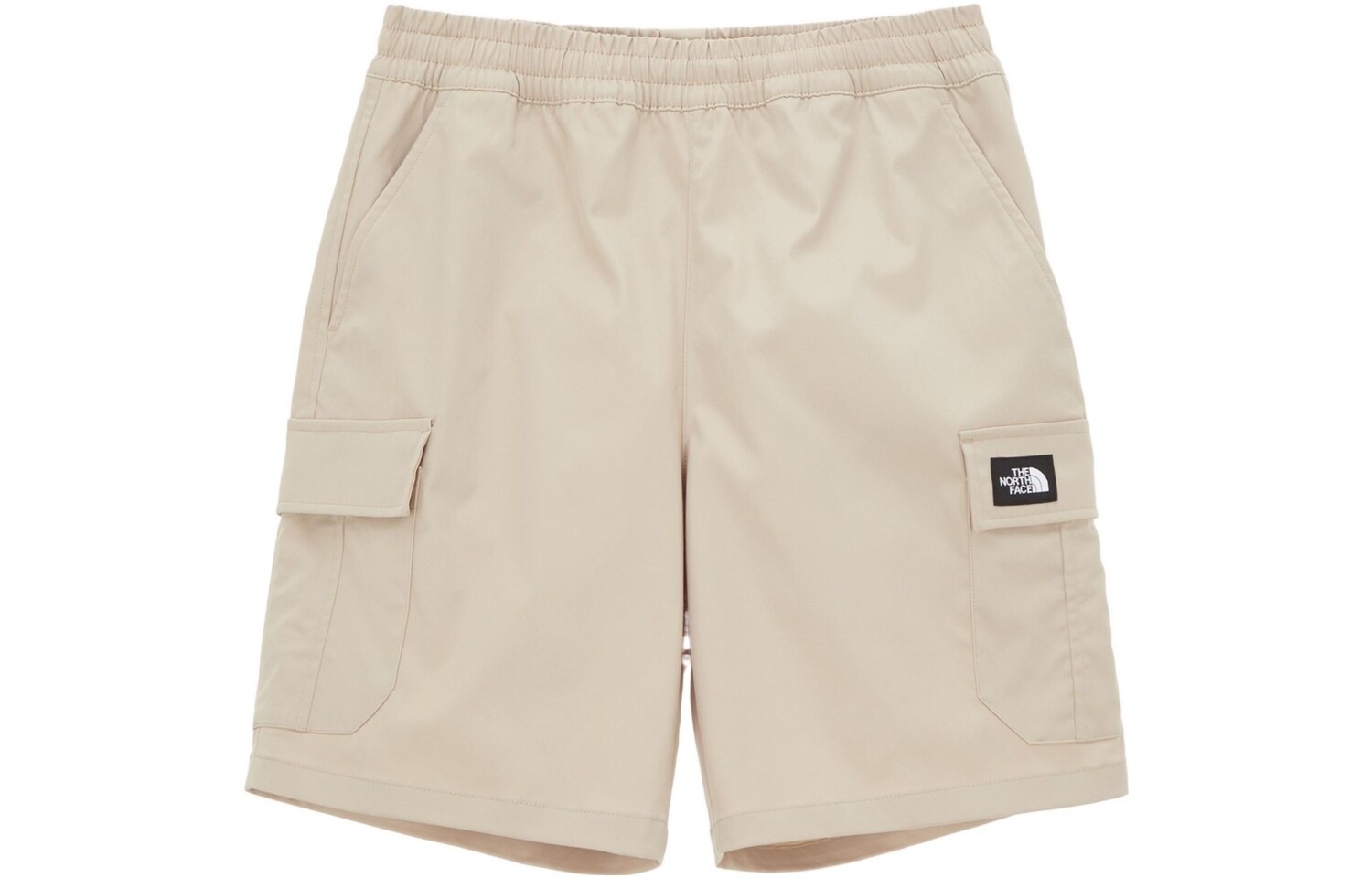 

THE NORTH FACE Мужские шорты карго, цвет Beige