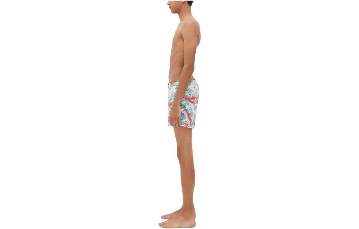 

Плавательные шорты мужские многоцветные Bottega Veneta, цвет Multicolor