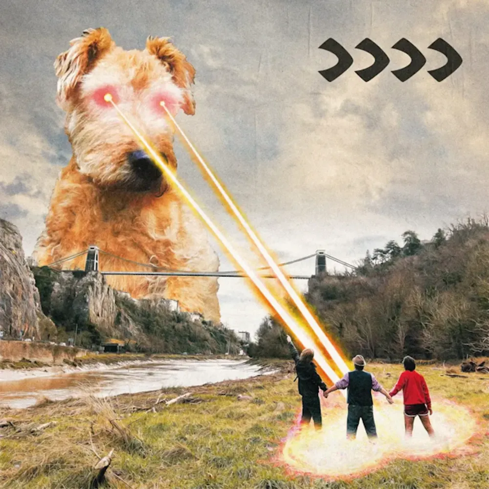 

Диск CD >>>> (Upcoming Release) - Beak>