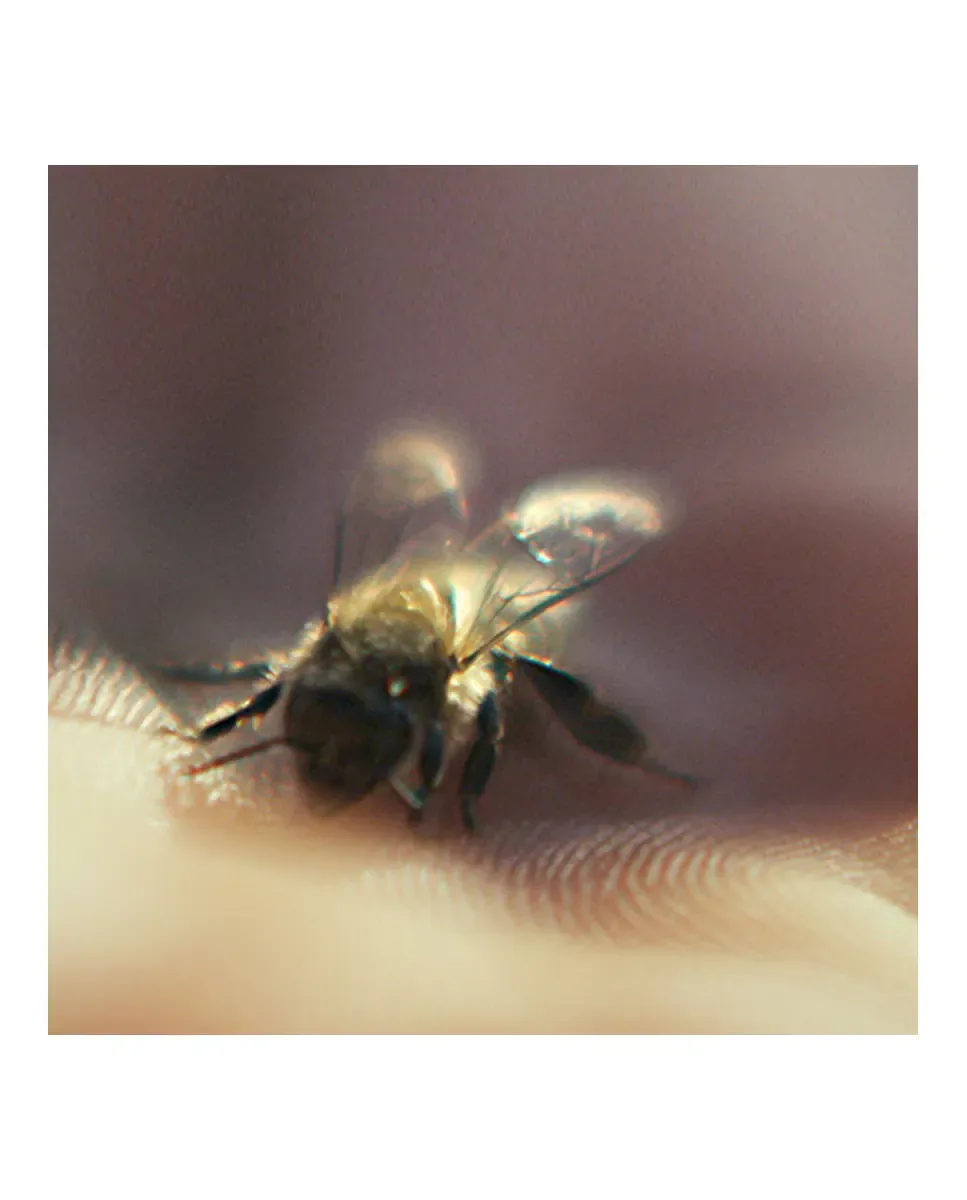 Сыворотка Guerlain — Увлажняющий молодости Abeille Royale Bee Glow — фото 3