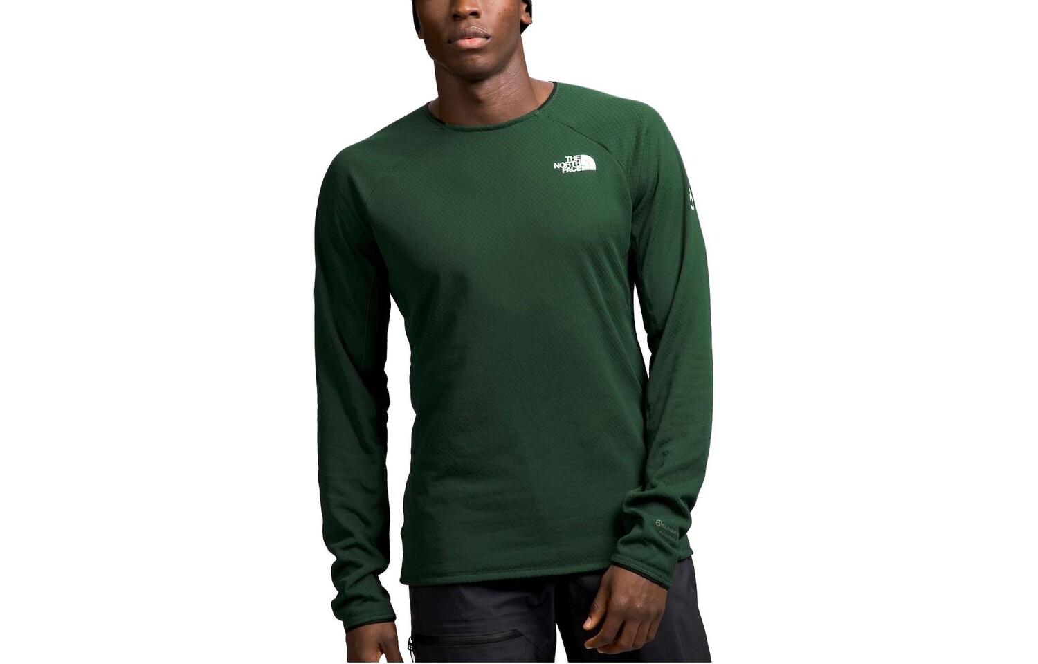 

Футболка SUMMIT мужская зеленая The North Face, зеленый