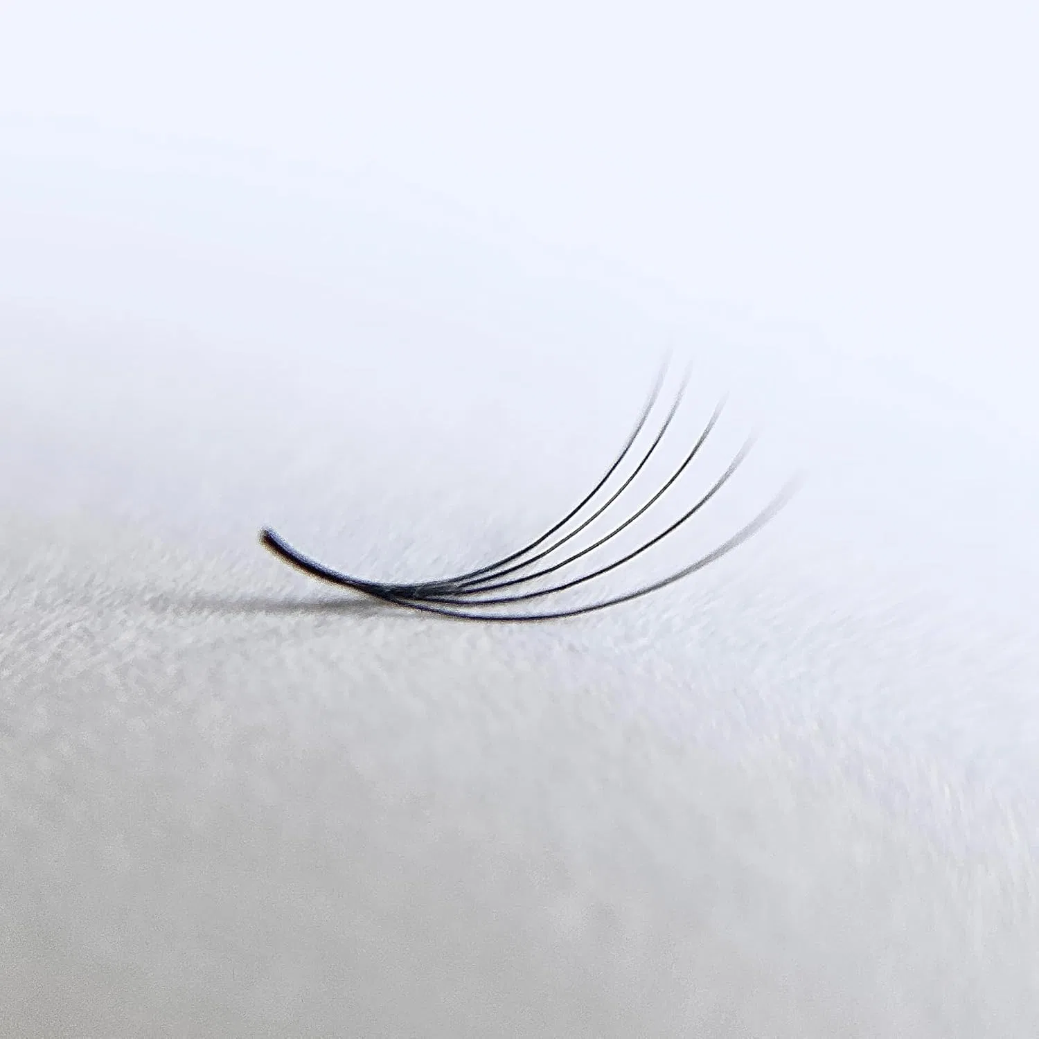 Готовые пучки для наращивания ресниц Wimpanista 5D (500 шт.) Linny Lashes, Cc Curl — фото 3