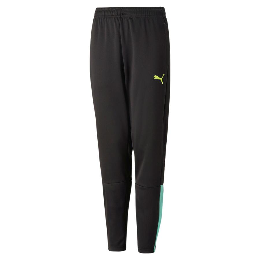 

Детские тренировочные брюки Puma teamLIGA Training Pants Jr 657243