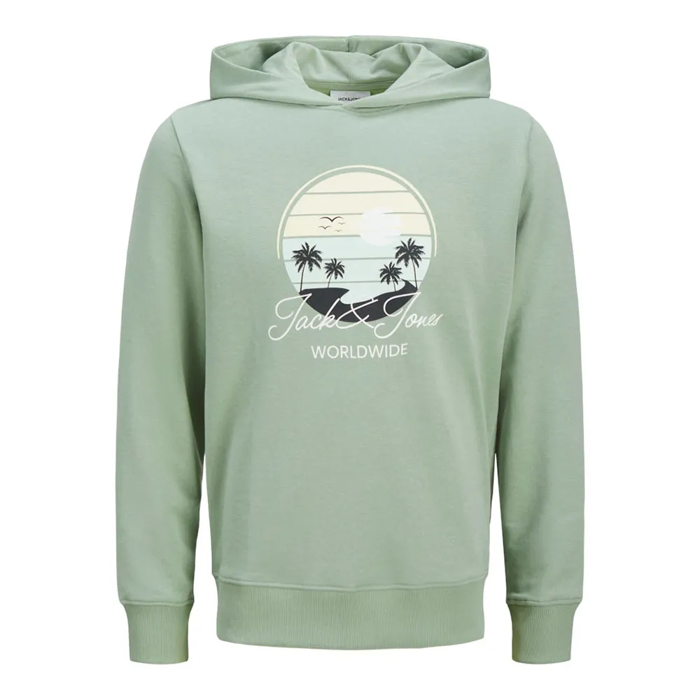 

Худи Jack & Jones Palm, зеленый