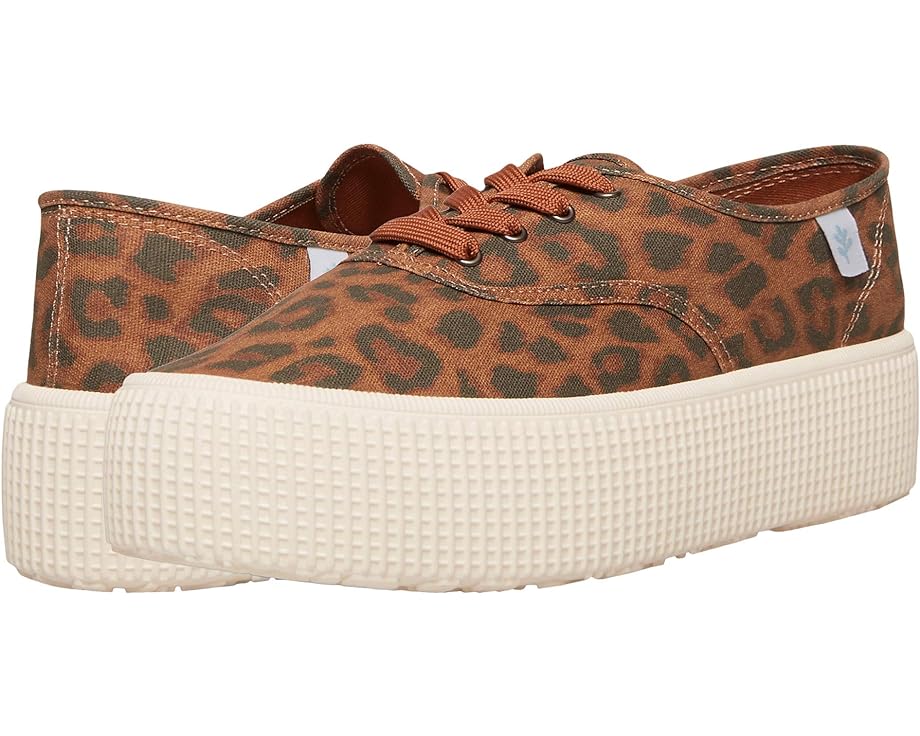 

Кроссовки COOL PLANET By Steve Madden Stream, цвет Leopard Canvas