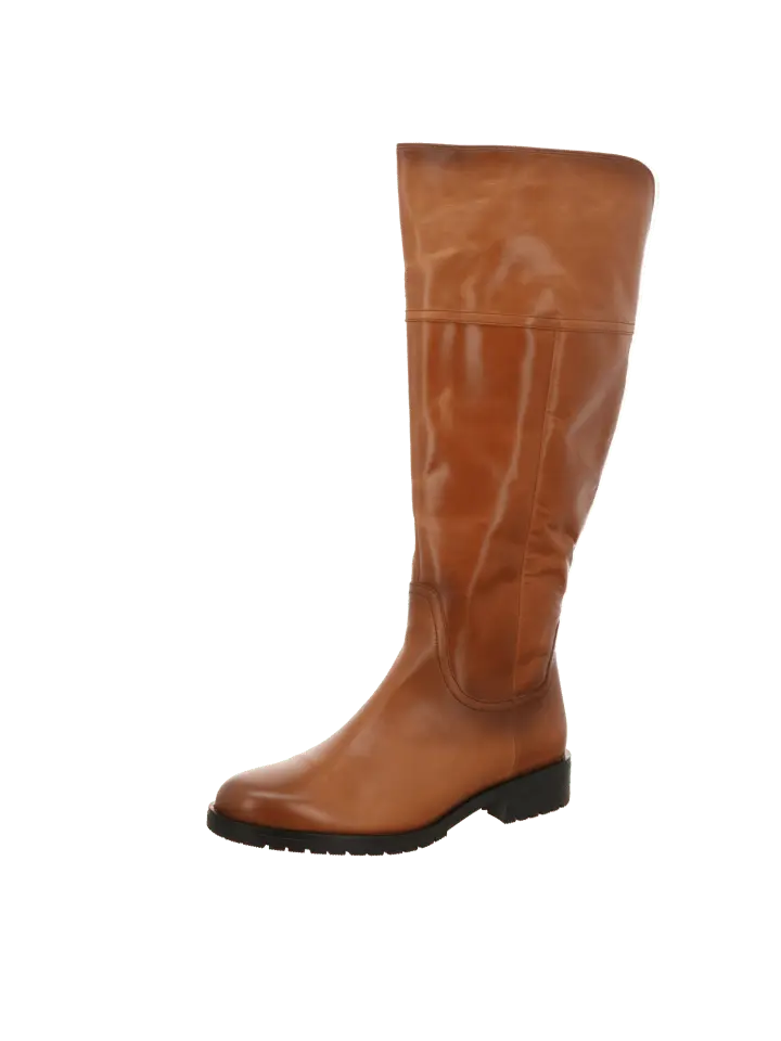 

Сапоги Gabor Comfort Ungefüttert Schaft Bequem Ungefüttert Genua, цвет whisky/ef micro
