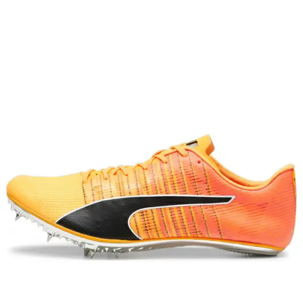 

Кроссовки evospeed brush 6 'sun stream black' Puma, мультиколор, Черный, Кроссовки evospeed brush 6 'sun stream black' Puma, мультиколор