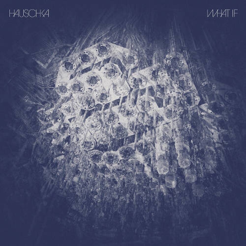

Диск CD What If - Hauschka