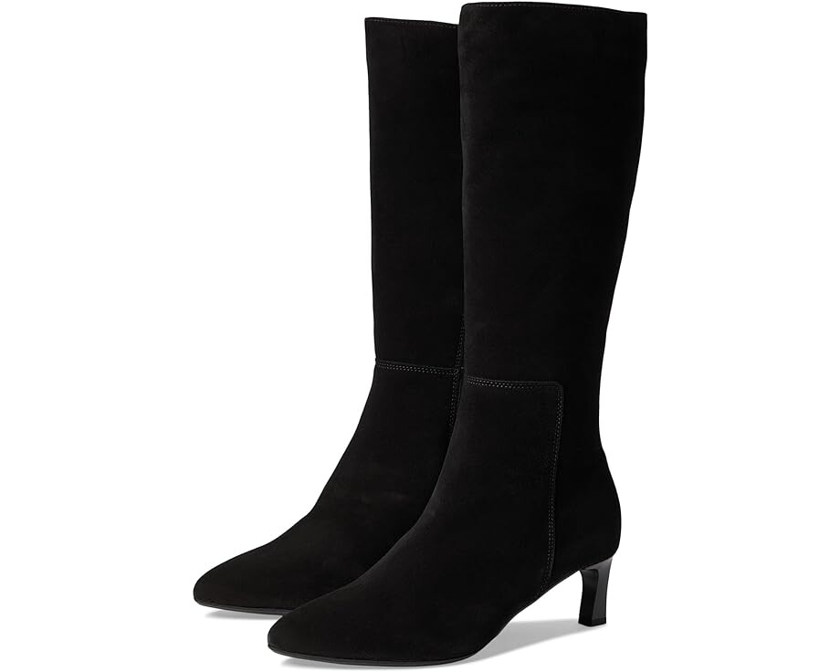 

Ботинки La Canadienne Alister, цвет Black Suede
