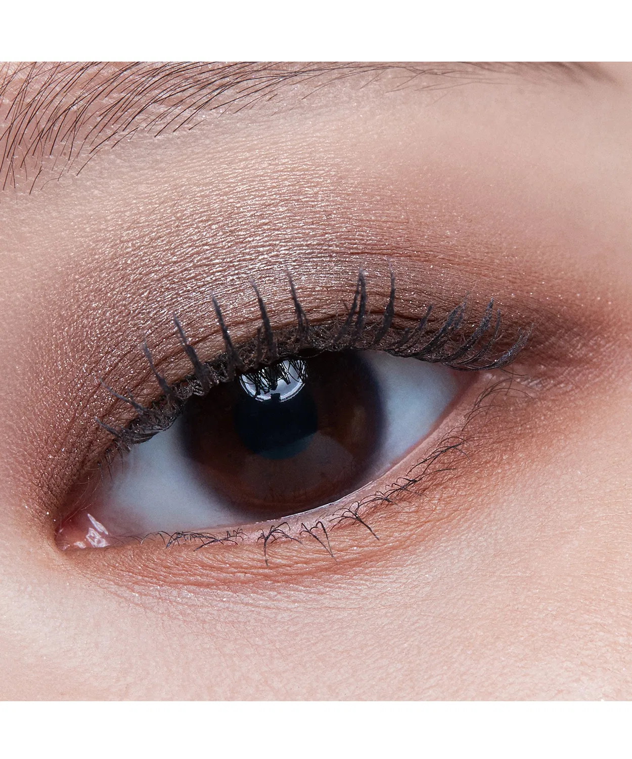 Тени для век Quad Eye Color N, бренд FREE, палетка 4 цвета — фото 2