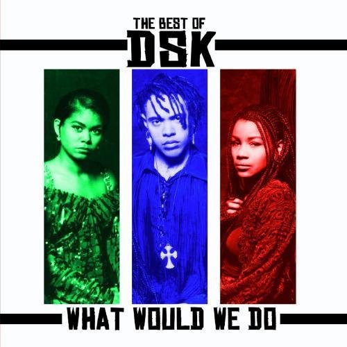 

CD диск DSK: Best of: What Would We Do