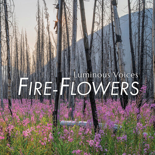 

CD диск Brahms / Wadsworth / Luminous Voices: Fire-Flowers