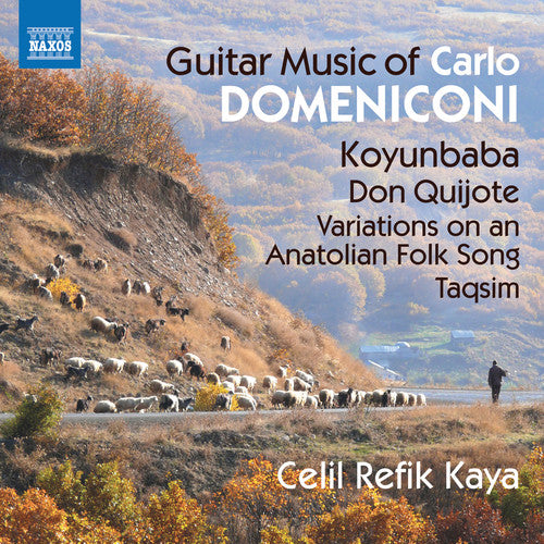 

CD диск Domeniconi / Kaya: Guitar Music of Carlo Domeniconi