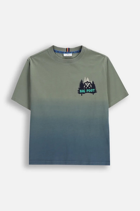 

Детская хлопковая футболка Coccodrillo, зеленый