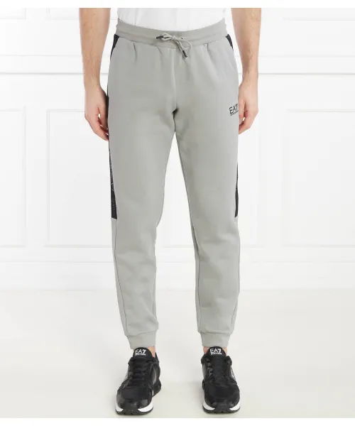 

Спортивные штаны Regular fit Ea7, серый