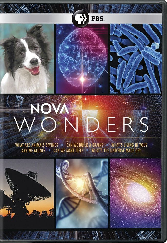 

Диск DVD Nova Wonders: Season 1