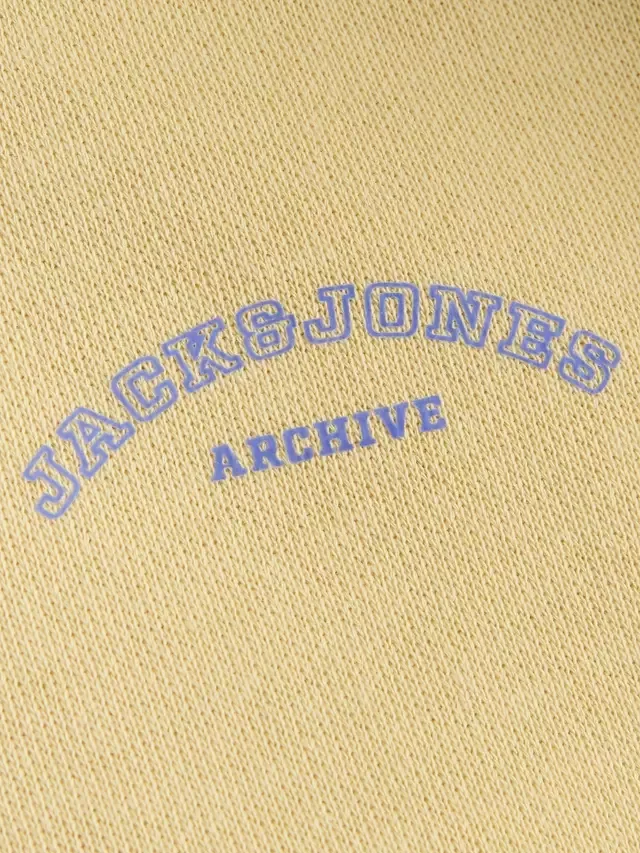 Детская толстовка с логотипом колледжа, Sunlight Jack & Jones — фото 2