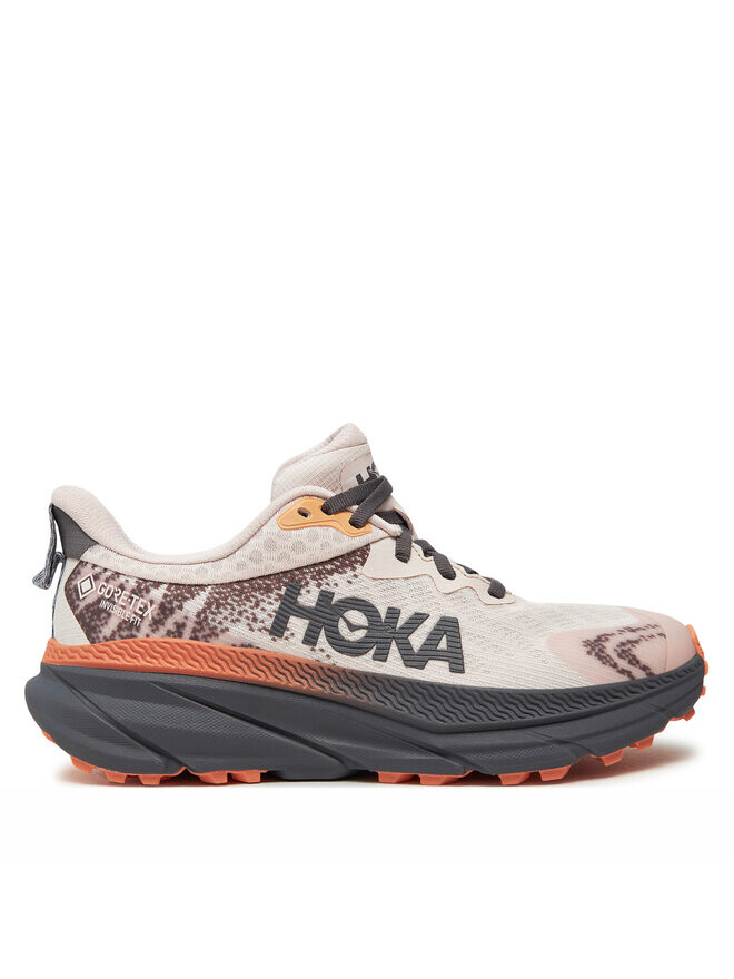 

Беговые кроссовки Hoka Challenger 7 GTX GORE-TEX 1134502, мультиколор