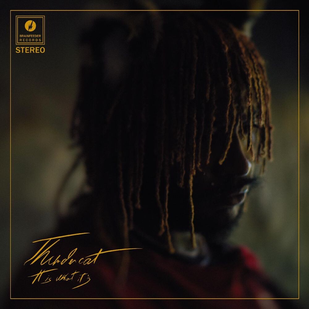 

Диск CD It Is What It Is - Thundercat