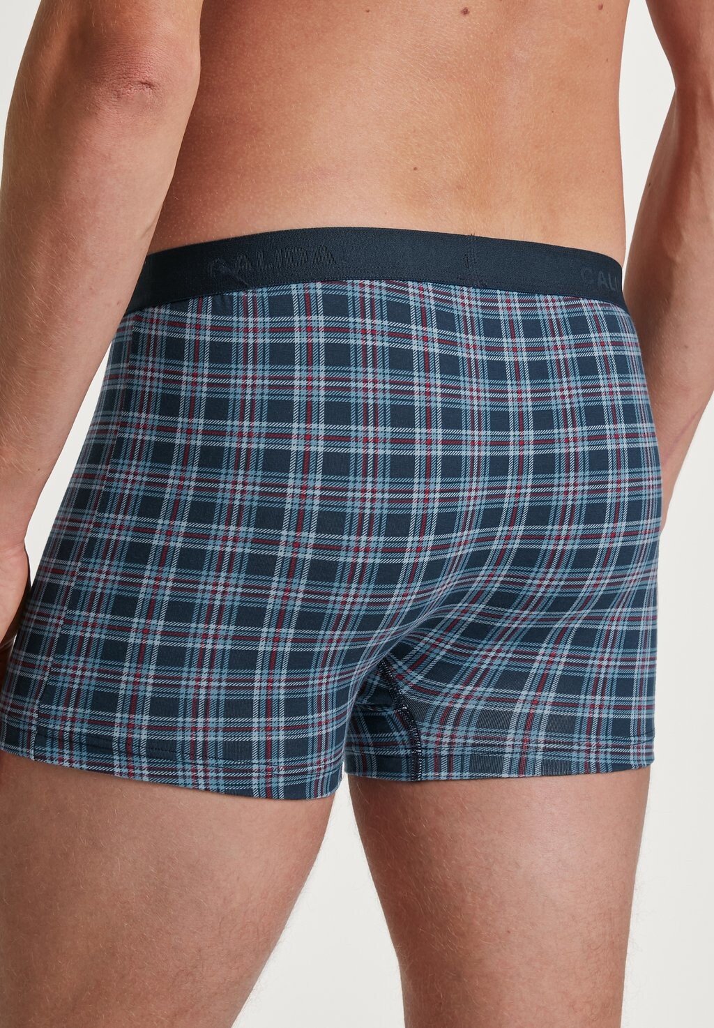 

Трусы FAMILY FRIENDS NEW SOFT BUND Calida, бирюзовый