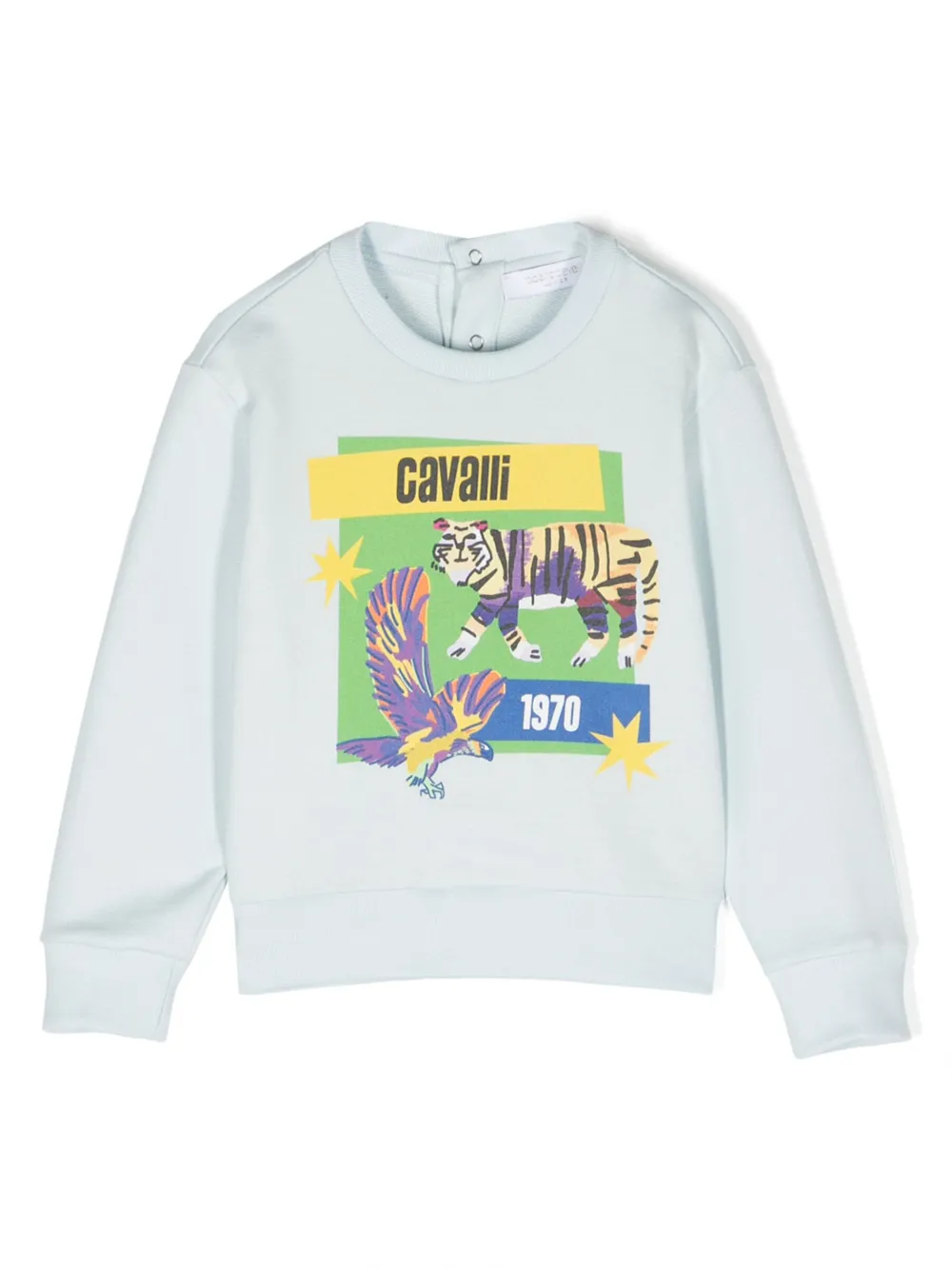 

Толстовка с графичным принтом Roberto Cavalli Junior, синий